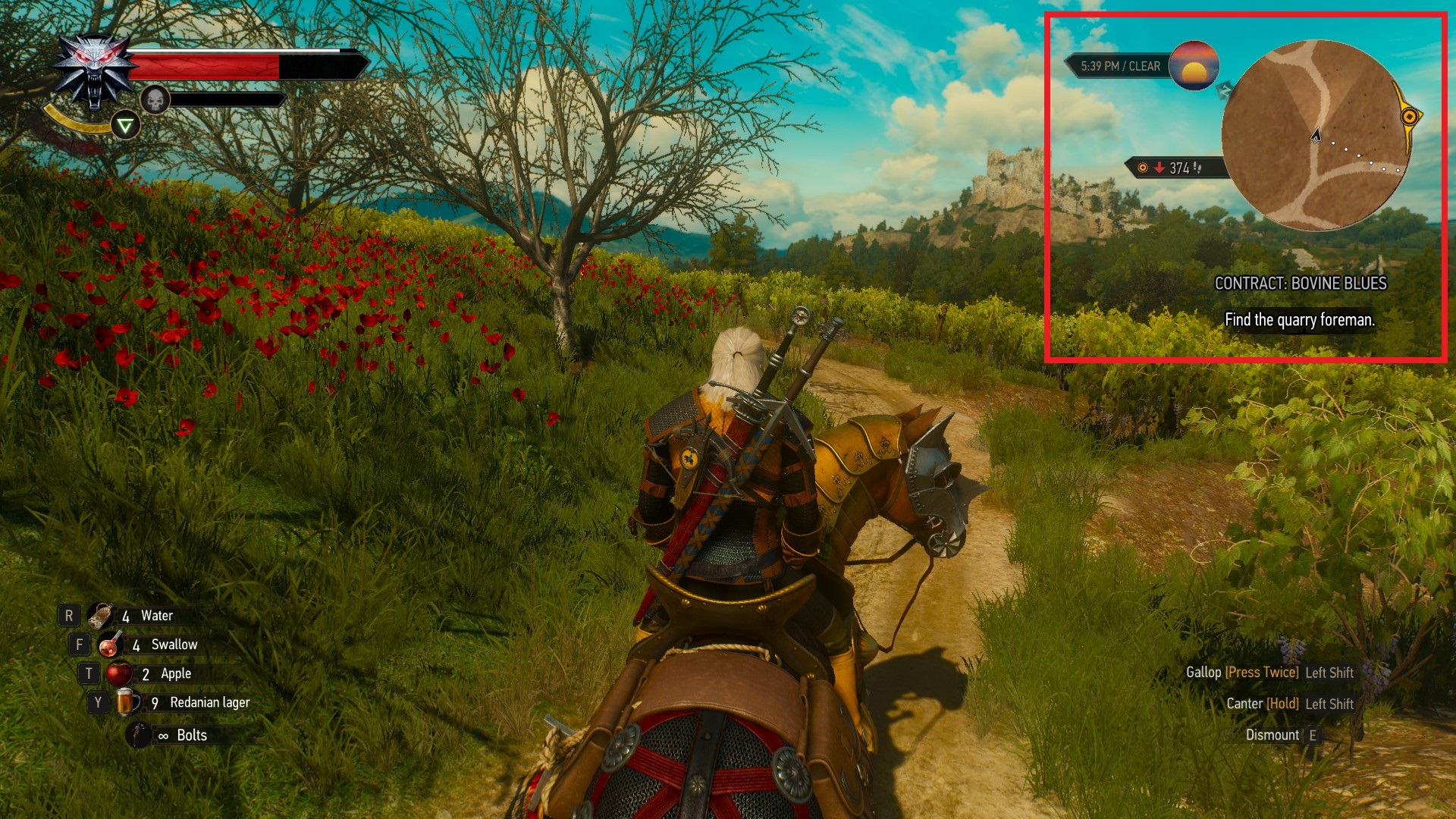 Witcher3_SettingsON